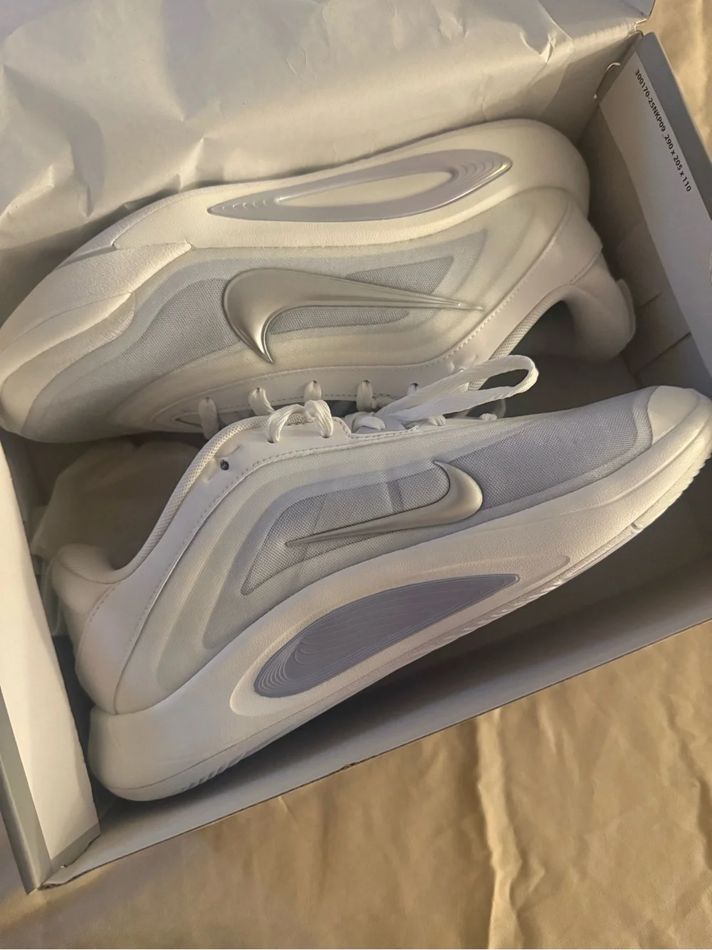 Nike Men’s White and Silver Low-Top Sneakers
